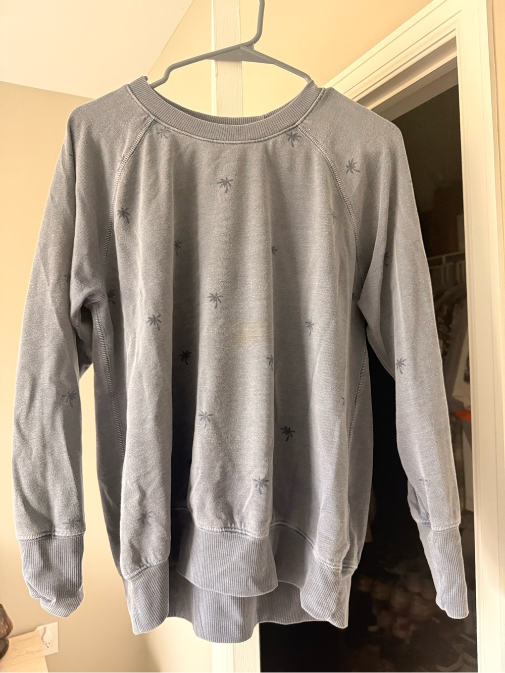 Sundry Women’s Light Blue Crewneck Sweatshirt with Palm Print